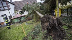 In Winterbach stürzte ein Baum auf ein Haus. Foto: 7aktuell.de/Simon Adomat
