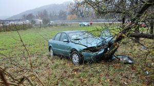 Der Fahrer verstarb noch an der Unfallstelle. Foto: 7aktuell.de/Kevin Lerme/r