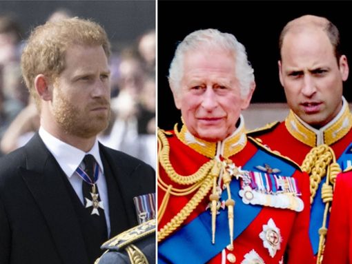 Haben sich die Fronten zwischen Prinz Harry (l.) und seiner Familie womöglich noch weiter verhärtet? Foto: imago images/Cover-Images / imago/PPE