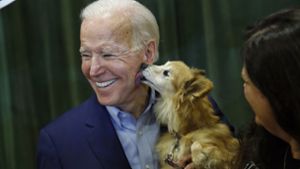 Nein, das ist nicht Joe Bidens Hund – Champ und Major sind um einiges größer als dieser Schoßhund einer Wählerin. Foto: Patrick Semansky/AP/dpa