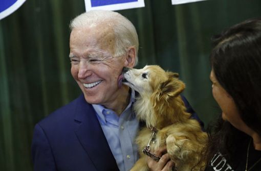 Nein, das ist nicht Joe Bidens Hund – Champ und Major sind um einiges größer als dieser Schoßhund einer Wählerin. Foto: Patrick Semansky/AP/dpa