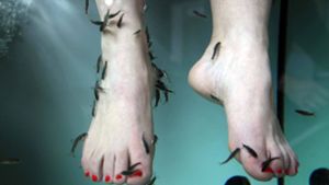 Forscher haben die Kosmetik-Behandlung  an den Füßen unter die Lupe genommen. Foto: imago stock&people/imago stock&people