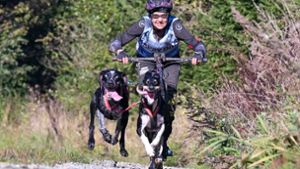 Rasant durchs Land: Mountainbike-Fahrer werden bei Zughunde-Rennen bis zu 50 km/h schnell. Foto: Danny Harzfuchs