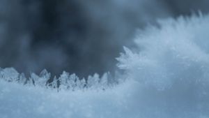In den nächsten Tagen könnte es weitere Winter-Vorboten geben (Symbolbild). Foto: IMAGO/ Wirestock