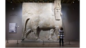 Eine kolossale assyrische Lamassu-Statue im Museum der University of Chicago. Foto: Imago/NurPhoto