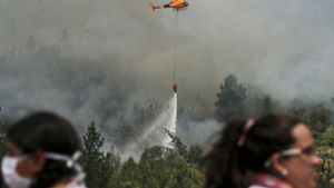 Am Sonntag vermeldete die chilenische Forstbehörde eine Fortschritt im Kampf gegen die verheerenden Waldbrände im Land: von insgesamt 124 Bränden seinen mittlerweile elf gelöscht und 55 unter Kontrolle. Foto: AP
