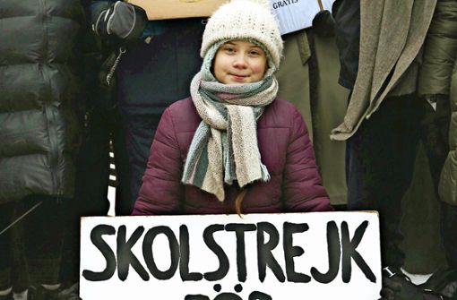 Greta Thunberg protestiert vor dem schwedischen Parlament. Foto: dpa