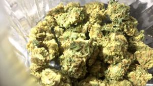 Polizei beschlagnahmt mehrere Tonnen Cannabis