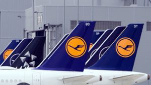 Die Lufthansa hat Details zu den Verhandlungen veröffentlicht. Foto: dpa/Soeren Stache