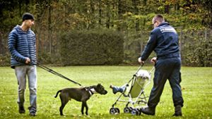 Eine der Aufgaben: Wie verhält sich der Hund gegenüber Kindern. Foto: Lichtgut/Achim Zweygarth