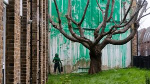 Banksy bekennt sich zu Baumbild in London