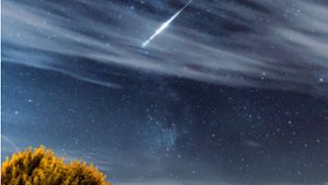 Mitte August ist Sternschnuppenzeit – aber auch der Vollmond leuchtet dann hell. Foto: Stefan Kalweit-Schaulies