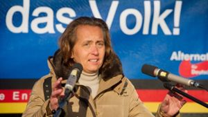 Beatrix von Storch ist auch stellvertretende Bundesvorsitzende der AfD. Foto: dpa-Zentralbild