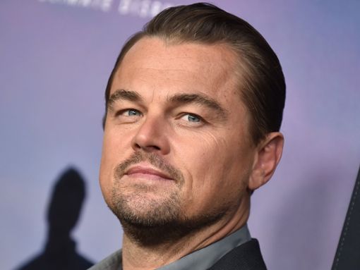 Leonardo DiCaprio hat seinen 49. Geburtstag gefeiert. Foto: DFree/Shutterstock.com