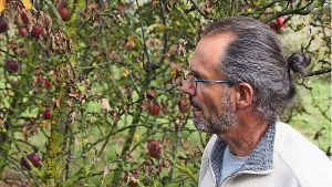 Biobauer Wellenzohn vor seinen vergifteten Apfelbäumen. Foto: Wolfgang Manuel Simon