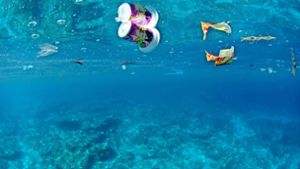 Schwerpunkt des Welttags der Meere ist in diesem Jahr jedoch die Verschmutzung der Meere mit Plastikmüll. Foto: Mauritius