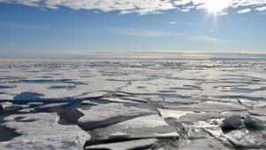 Aufgrund der Eisschmelze in der Arktis erwartet der Politikwissenschaftler Carlo Masala künftig mehr Konflikte in der Region. Foto: dpa