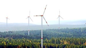 Sollte in Herrenberg auf städtischen Flächen ein Windpark   (im Bild der Windpark Simmersfeld im Schwarzwald) entstehen, hätte die Stadt bereits einen Investor ausgeguckt. Foto: dpa/Archiv