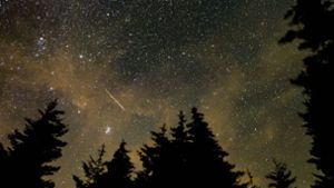 Unzählige Sternschnuppen am Nachthimmel – in der Nacht auf den 13. August sorgte der Meteorstrom der Perseiden für ein Himmelsspektakel. Foto: AFP/BILL INGALLS