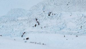 Lawine auf Schweizer Skipiste begräbt Menschen unter sich