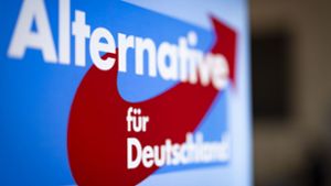 In Donaueschingen findet der Wahlkampfauftakt der AfD zur Europawahl statt – doch ohne den Spitzenkandidaten. (Symbolbild) Foto: dpa/Christoph Reichwein