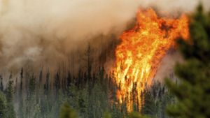 Ein Waldbrand wütet am 3. Juli 2023 in der kanadischen Region Donnie Creek. Die Waldbrände in Kanada haben nach Angaben des EU-Erdbeobachtungsprogramms Copernicus Rekordmengen an Kohlenstoff in die Atmosphäre gepumpt. Foto: Noah Berger/AP/dpa