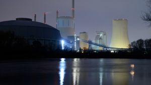 Das von Eon betriebene Gas- und Kohlekraftwerk „Staudinger“ im hessischen Hanau. Foto: Getty Images Europe