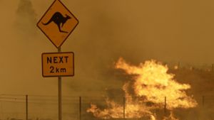 Die Brände von 2020 sind als „Schwarzer Sommer“ in die Geschichte Australiens eingegangen. Foto: dpa/Rick Rycroft