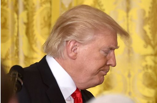 „Cement-Hairstyle“: So nennt man unter Top-Coiffeuren die Haarpracht von US-Präsident Donald Trump. Foto: AFP