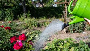 Auch fürs Blumengießen darf bis Ende August kein Wasser mehr aus Gewässern im Kreis Esslingen geschöpft werden. Foto: dpa/Hendrik Schmidt