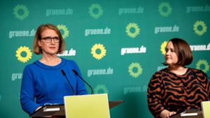 Grünen-Chefin Ricarda Lang stärkt Familienministerin Lisa Paus den Rücken. Foto: Fabian Sommer/dpa