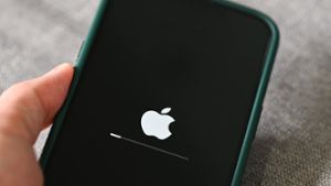 Ist das Update auf iOS 17.4 vollzogen, dürfen EU-Nutzer ihren Standardbrowser selbst festlegen. Foto: Bigc Studio/Shutterstock.com