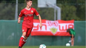 Ein neuer Antreiber für den VfB Stuttgart: Dzenis Burnic Foto: Baumann
