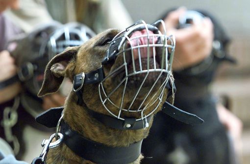 Für Kampfhunde wird eine Extragebühr erhoben. Foto: dpa/K. Nietfeld