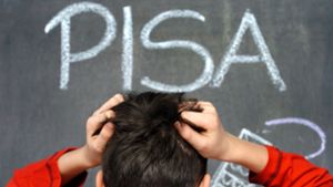 Die Pisa-Studie hat die Bildungspolitik erschüttert. Foto: dpa/Jens Büttner