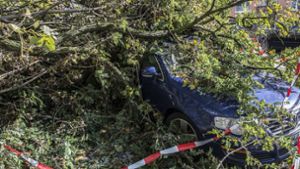 In Berlin sind noch am Sonntag Autos unter umgestürzten Bäumen begraben gewesen. Foto: dpa