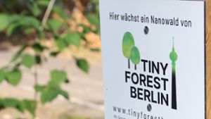 In Mannheim soll der erste Tiny Forest  in Baden-Württemberg entstehen Foto: dpa/Philipp Brandstädter
