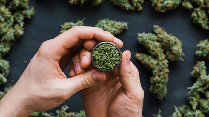 Wie viel Gramm Cannabis bekommt man aus einer Pflanze?