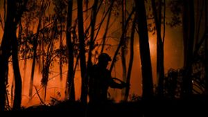 Überall im Land kämpfen Feuerwehrleute gegen die Flammen. Fast 250 Feuer sind seit dem Wochenende  neu hinzugekommen. Foto: AFP/Patricia de Melo Moreira
