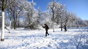 Wintereinbruch im Elsass Foto: dpa/Frederick Florin