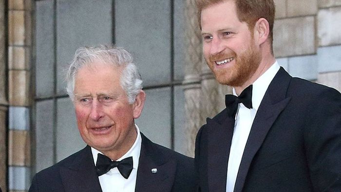 Ruft Prinz Harry jetzt König Charles III. und Prinzessin Kate an?