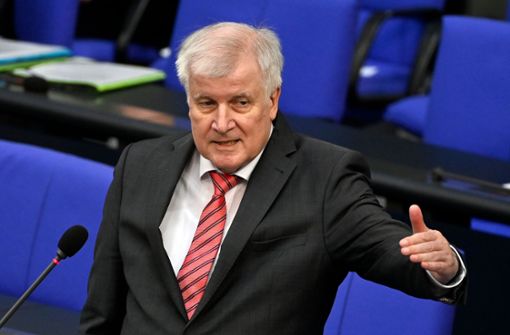 Bundesinnenminister Horst Seehofer (CSU) Foto: AFP/JOHN MACDOUGALL