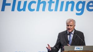 Horst Seehofer versetzt Koalition erneut in Aufruhr