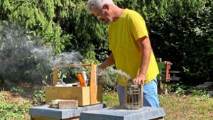 Bevor der Vereinsvorsitzende Rüdiger Knöß den Bienenstock öffnet, wirft  er erst ein mal den sogenannten Smoker an. Foto: Marion Brucker