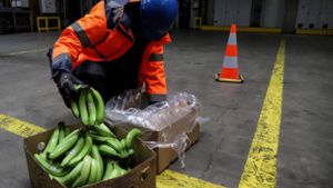 Genaue Kontrolle vor der Einfuhr. Die Drogen aus Übersee sind im Hafen von Antwerpen oft in Bananenkisten versteckt. Foto: AFP/VALERIA MONGELLI
