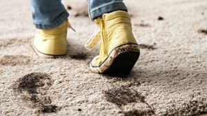 Bakterienalarm: Schuhe in der Wohnung an oder aus?