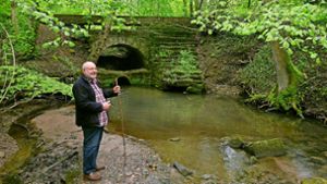 Wolfgang Bock will das Aquädukt zum Kulturdenkmal erklärt haben. Foto: erner Kuhnle