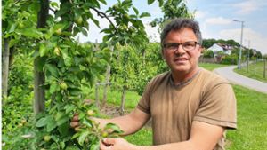 Martin Baurs Obstplantagen reichen fast bis ans Wohngebiet Foto: /Wein